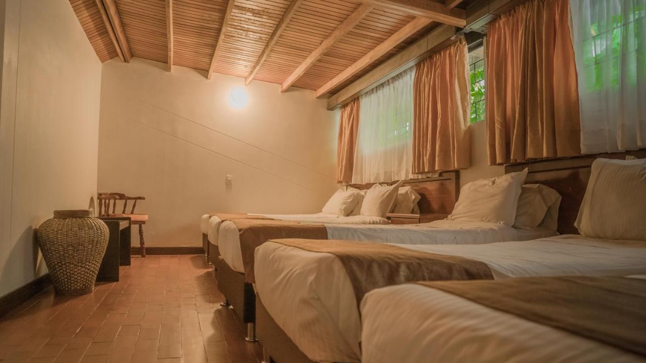 Termales *