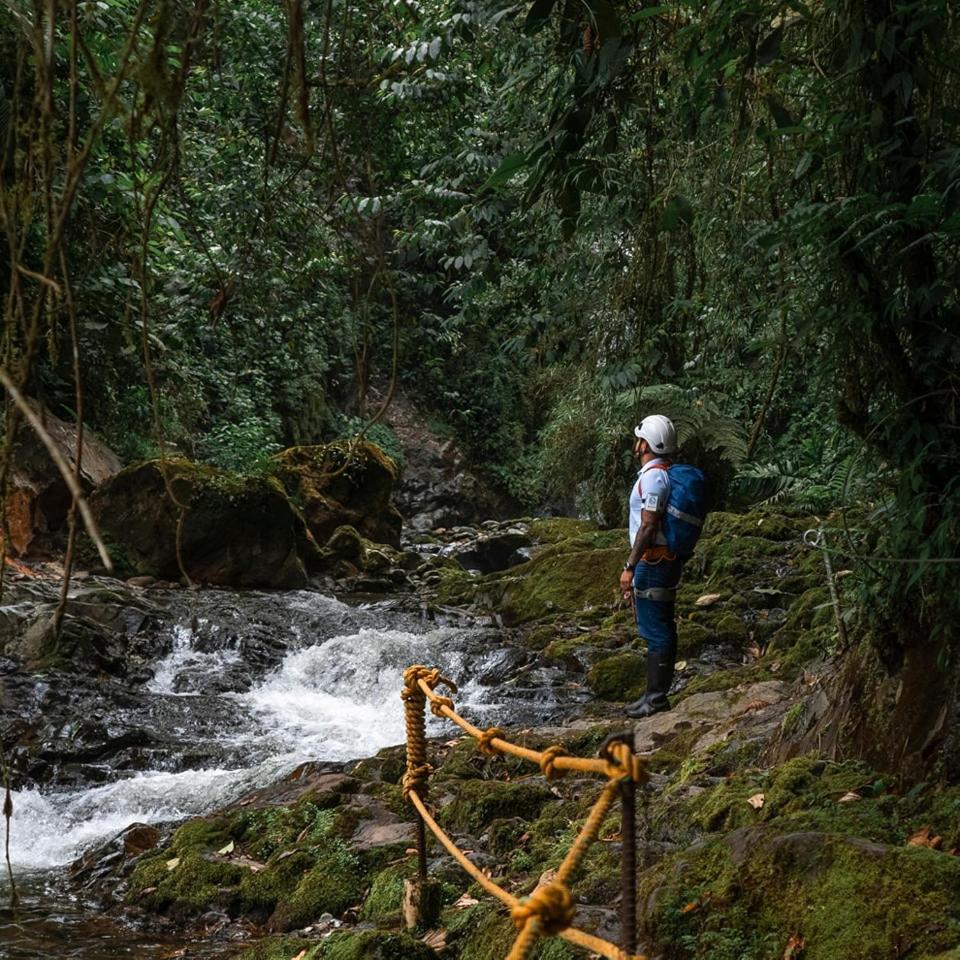 Termales